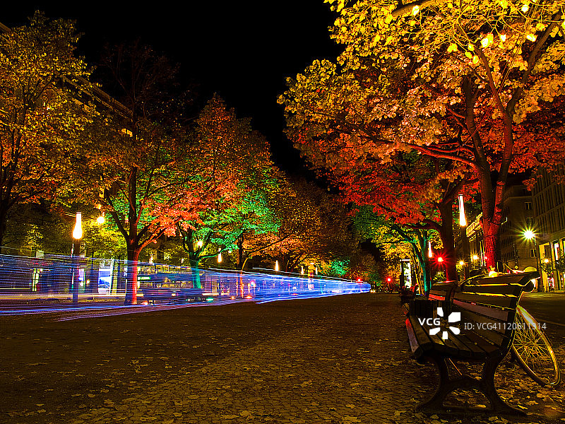 夜晚道路上的光树图片素材