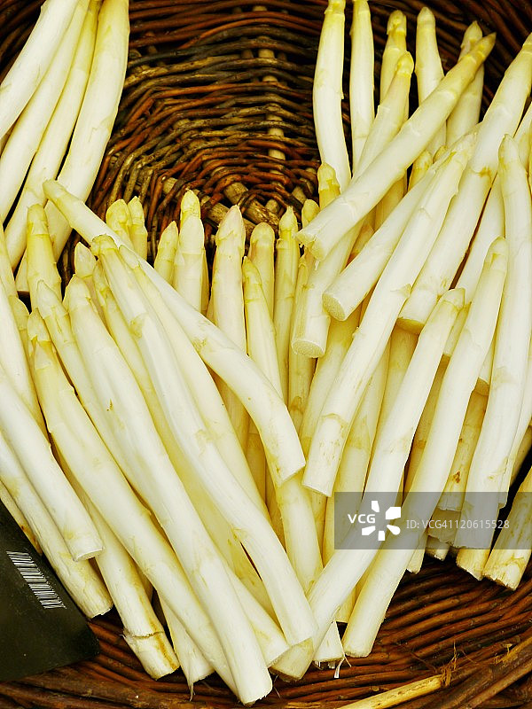 白芦笋图片素材