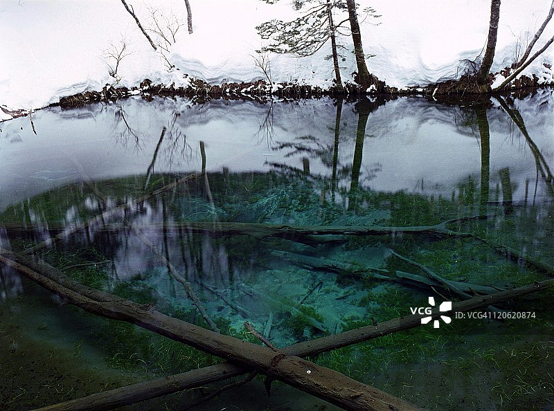 翠绿色池塘图片素材