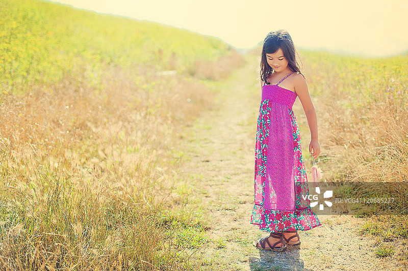 清晨夏日漫步图片素材