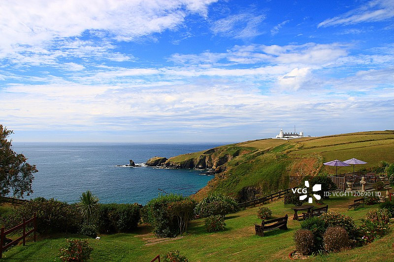 蜥蜴图案图片素材