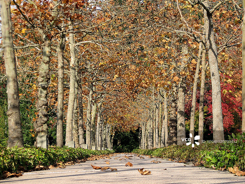 走向冬季图片素材