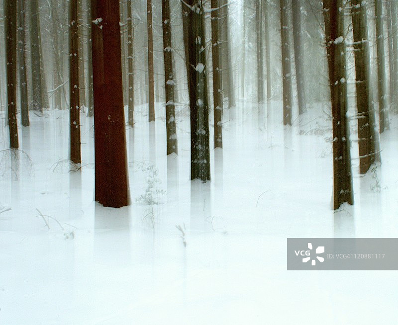 雪景森林图片素材