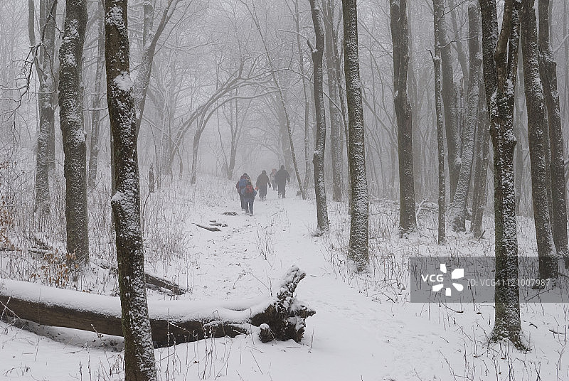 冬季雪林徒步旅行图片素材