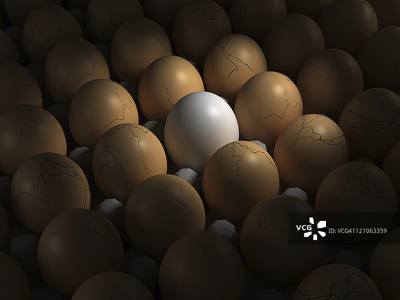完美的鸡蛋图片素材
