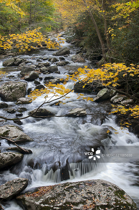 小河中段图片素材