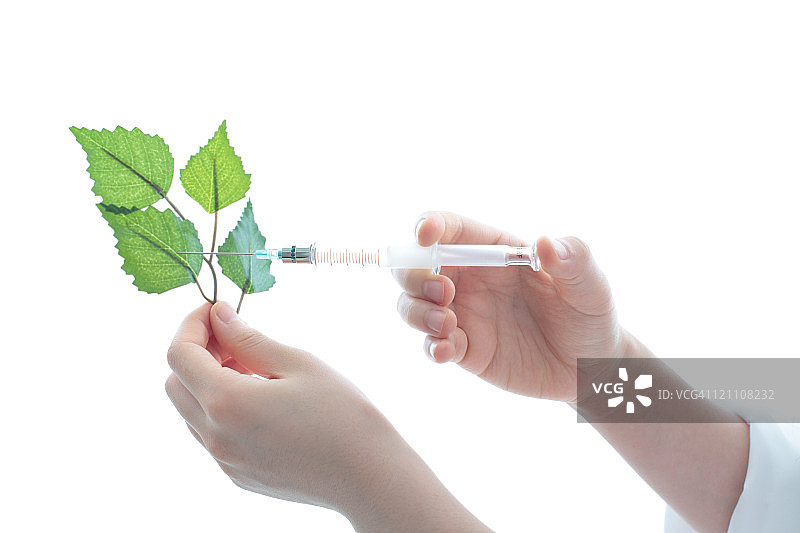 女人研究植物图片素材