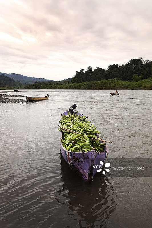 满载香蕉的河船图片素材
