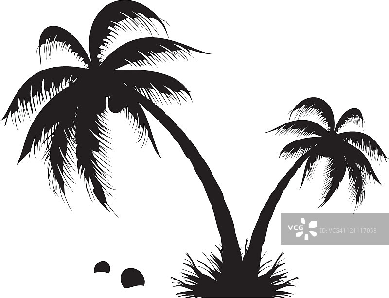 棕榈树图片素材