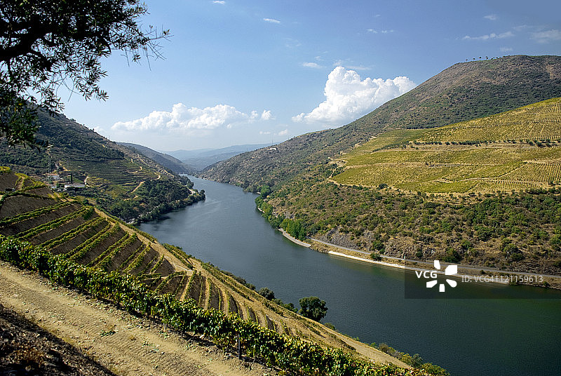杜罗河谷图片素材