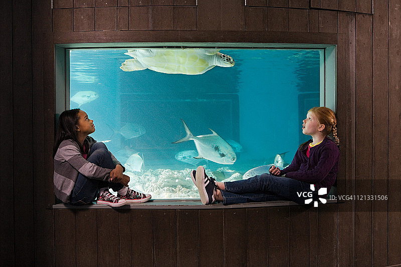 女孩们在水族馆里看海龟图片素材