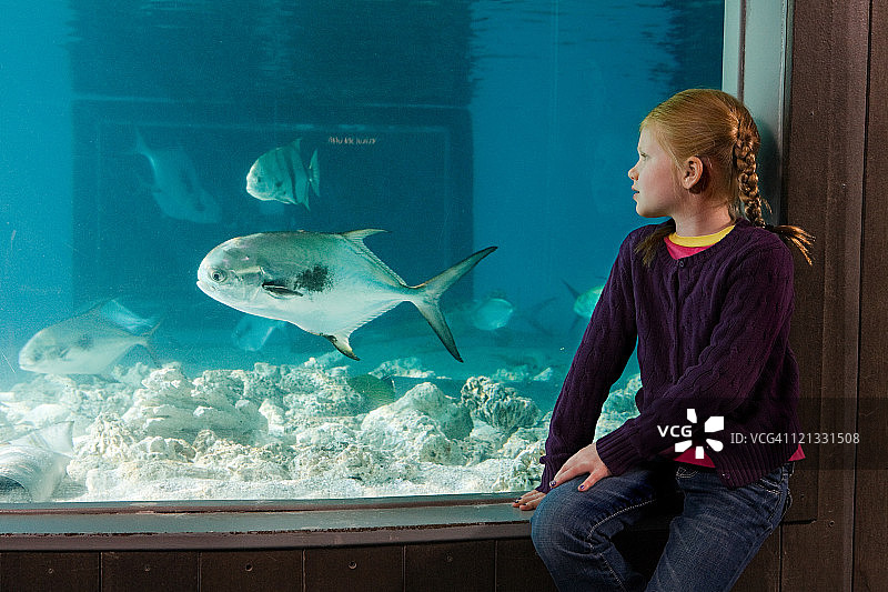 女孩在水族馆里看鱼图片素材