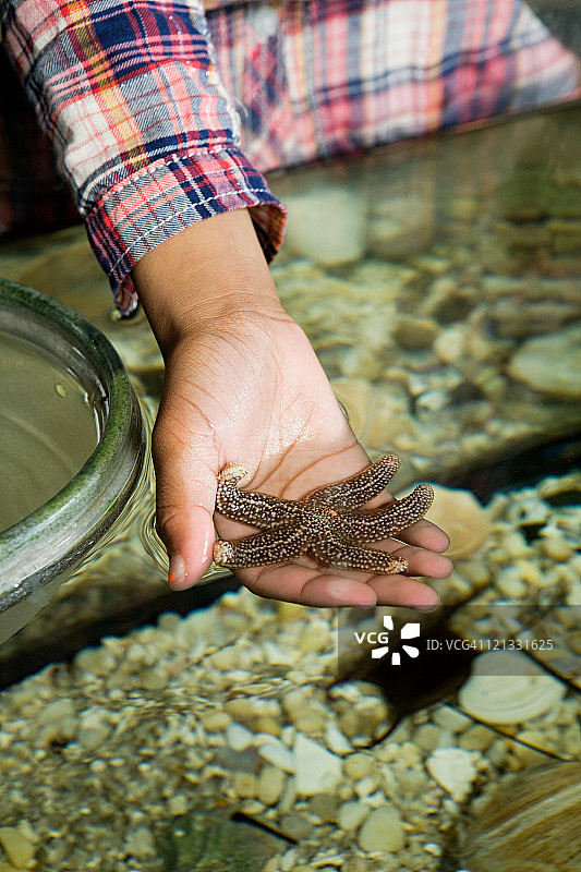 女孩在水族馆手持海星图片素材