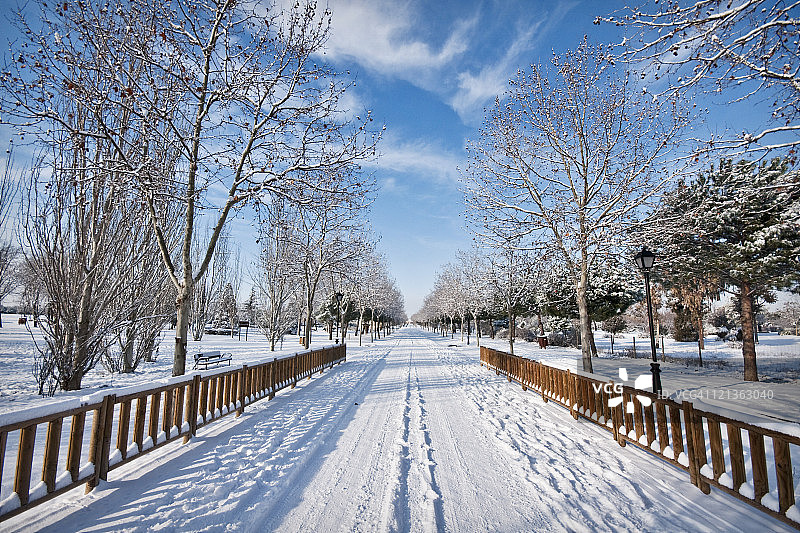 公园雪景图片素材