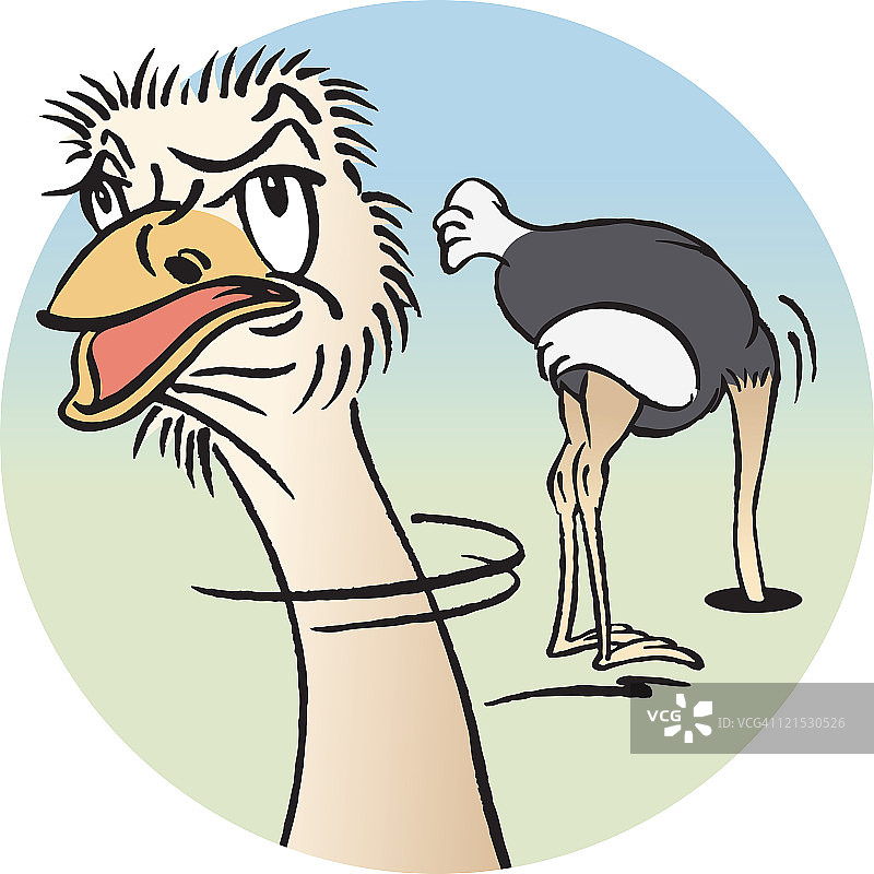 鸵鸟埋头于沙中图片素材