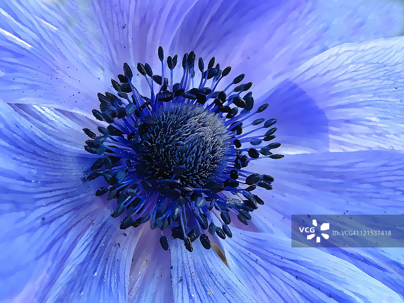 和谐蓝图片素材