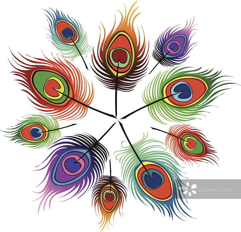 孔雀羽毛2图片素材