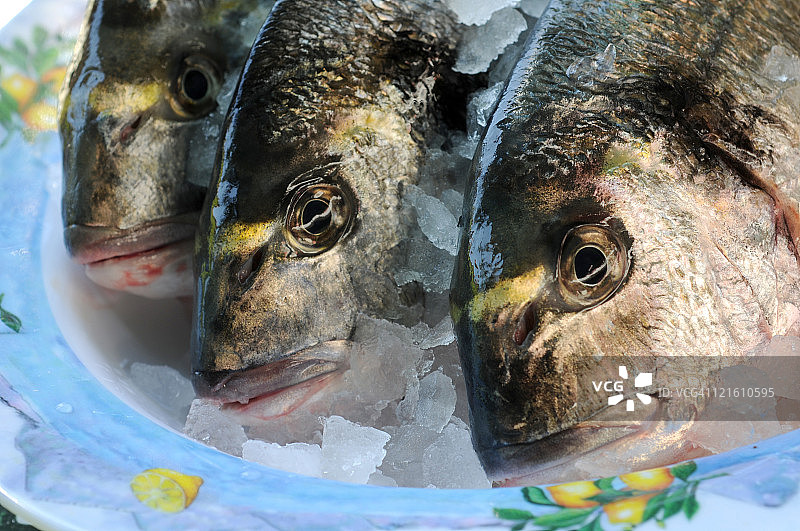 新鲜的鱼图片素材