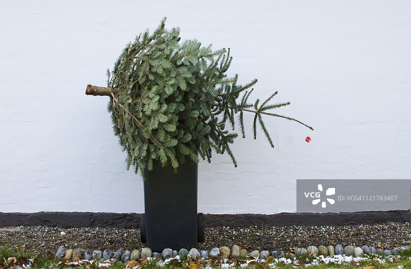 丢弃圣诞树图片素材