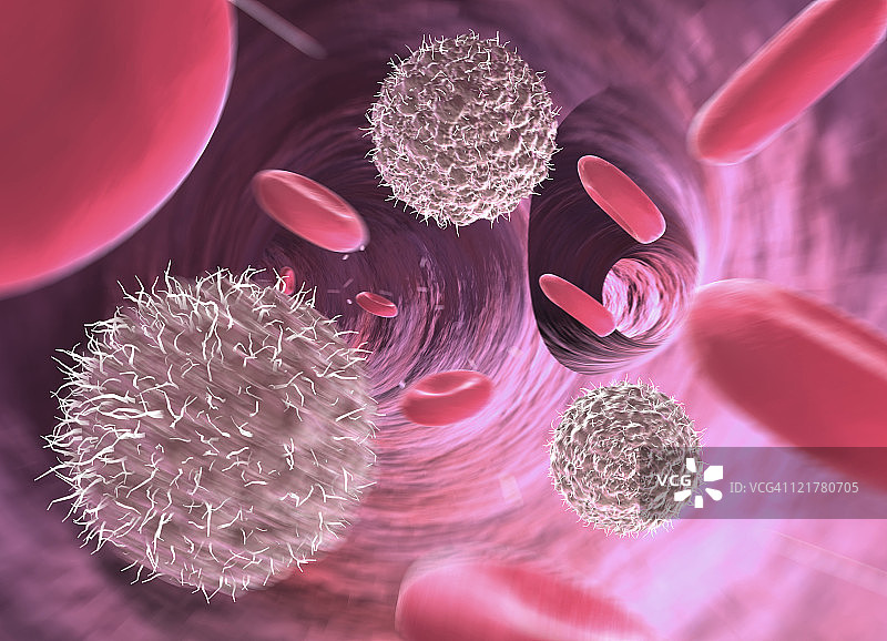 血管中的淋巴细胞和红细胞，计算机生成图片素材