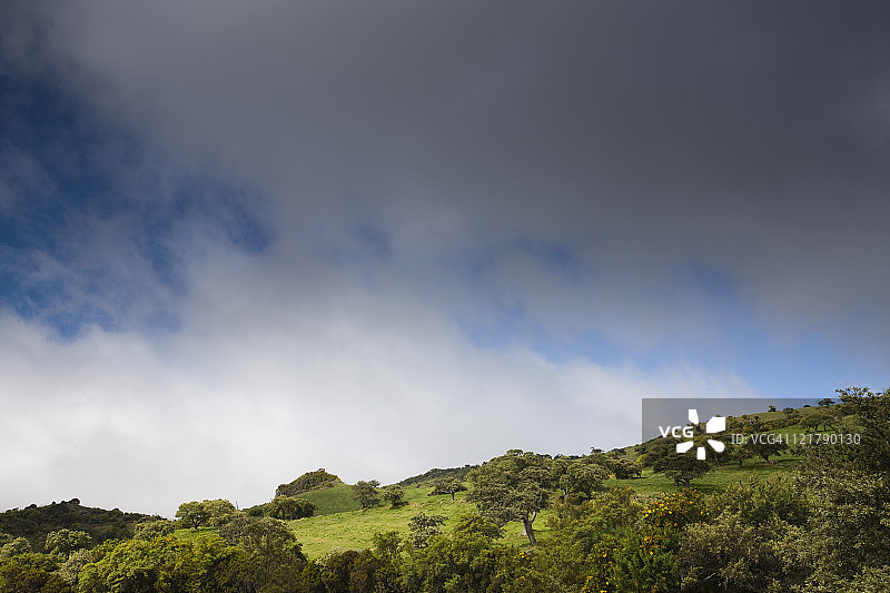 法国，留尼汪岛，布尔格-穆拉特，咖啡平原，通往富尔奈斯火山的RF5公路景观图片素材