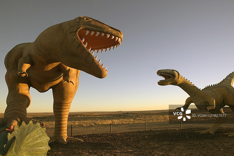 亚利桑那州霍尔布鲁克恐龙公园图片素材