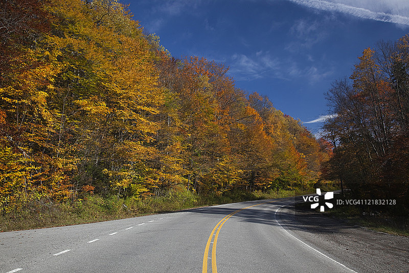 美国西弗吉尼亚州莫农加西拉国家森林的秋叶图片素材