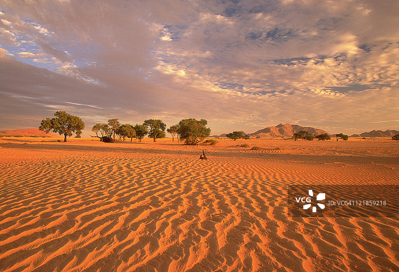 纳米比亚沙漠的沙丘，纳米比亚，非洲图片素材