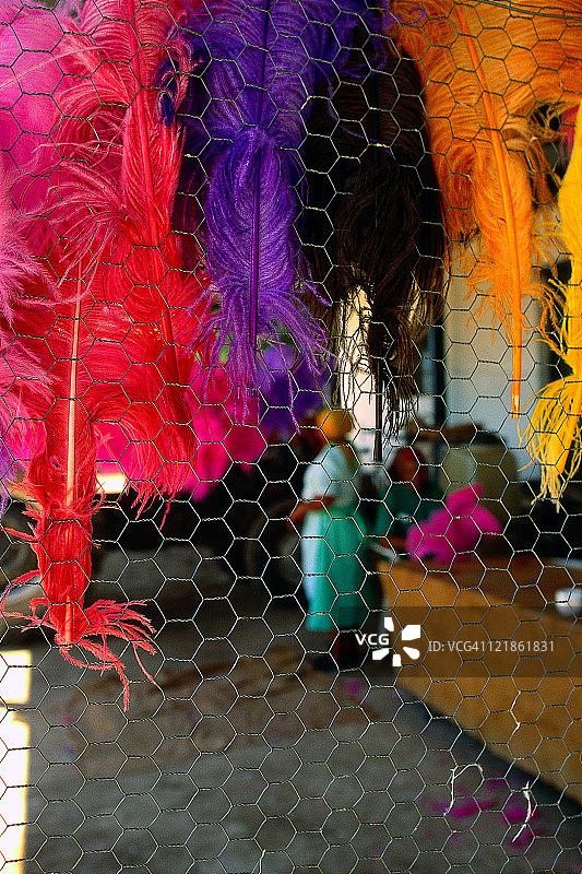 南非奥茨胡恩的鸵鸟羽毛染色图片素材