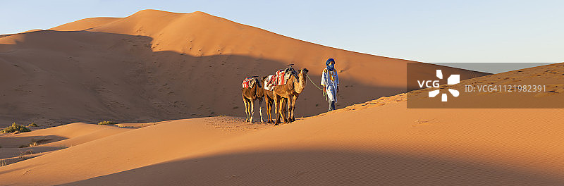 图阿雷格男子与骆驼队，撒哈拉沙漠，摩洛哥图片素材
