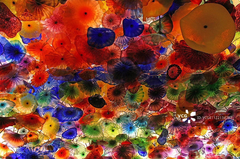 霓虹花朵图片素材