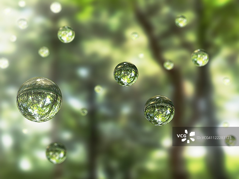 森林中的水滴图片素材