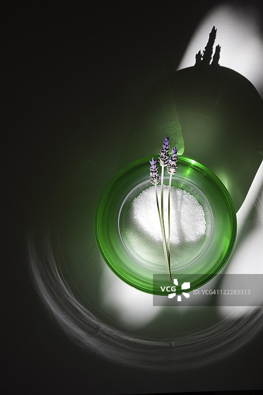 绿色碗薰衣草图片素材