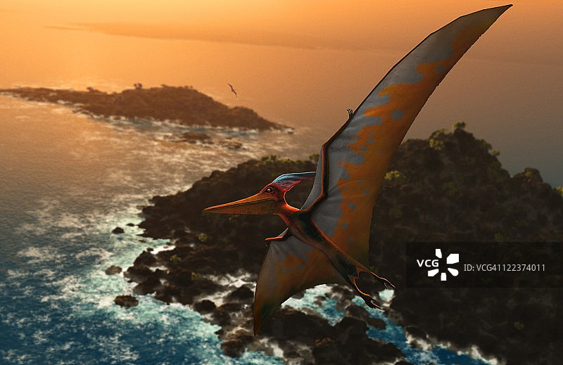 斯特恩伯格翼龙艺术作品图片素材