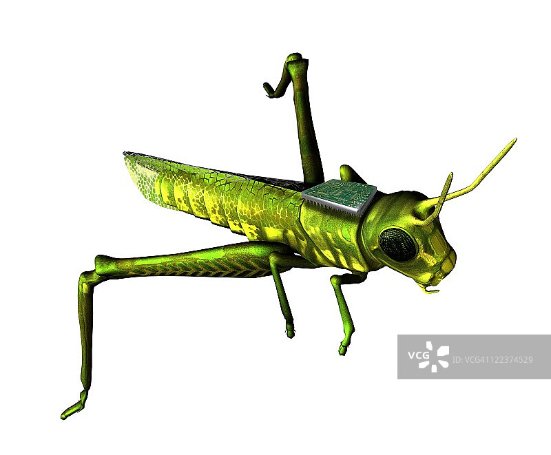 昆虫间谍概念艺术图片素材