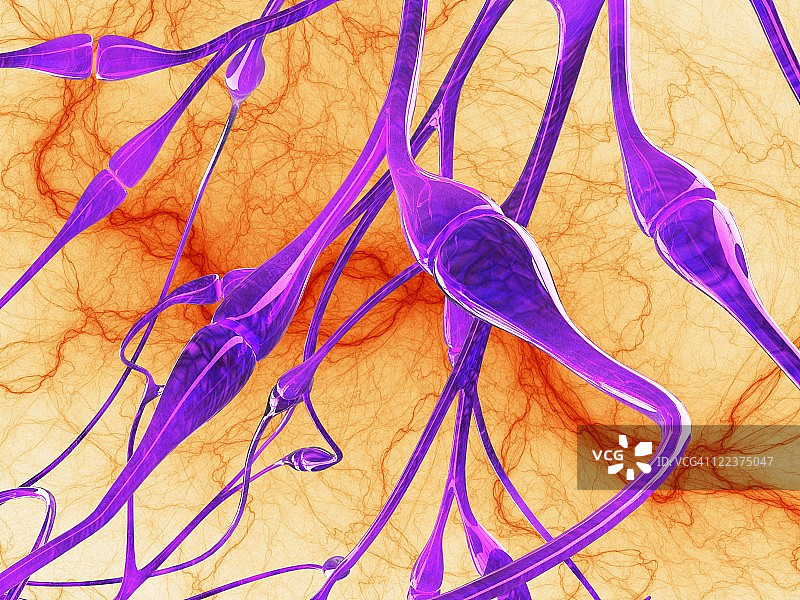神经突触，艺术作品图片素材
