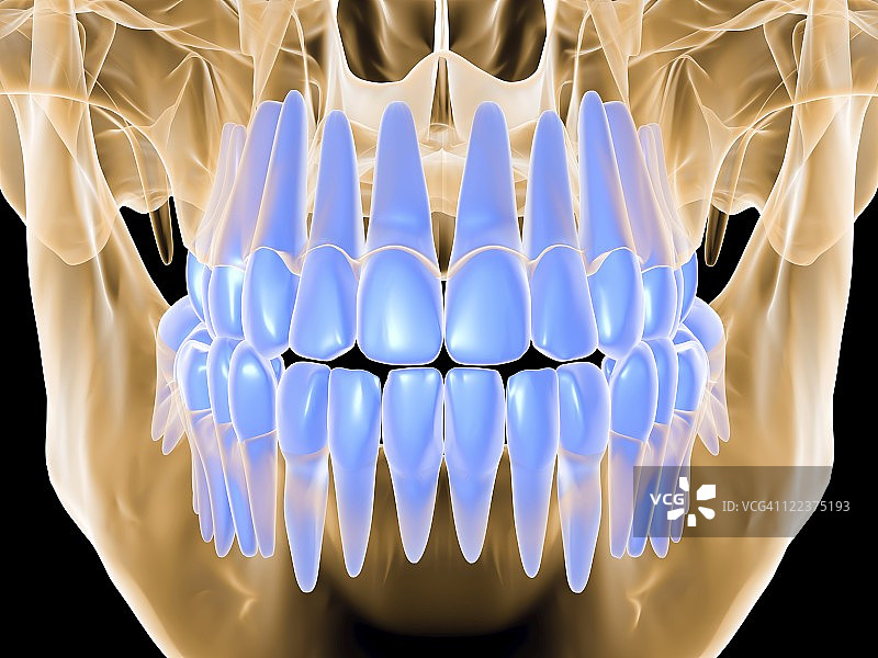 带牙齿的人头骨电脑艺术作品图片素材