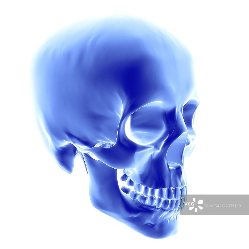头骨电脑艺术品图片素材