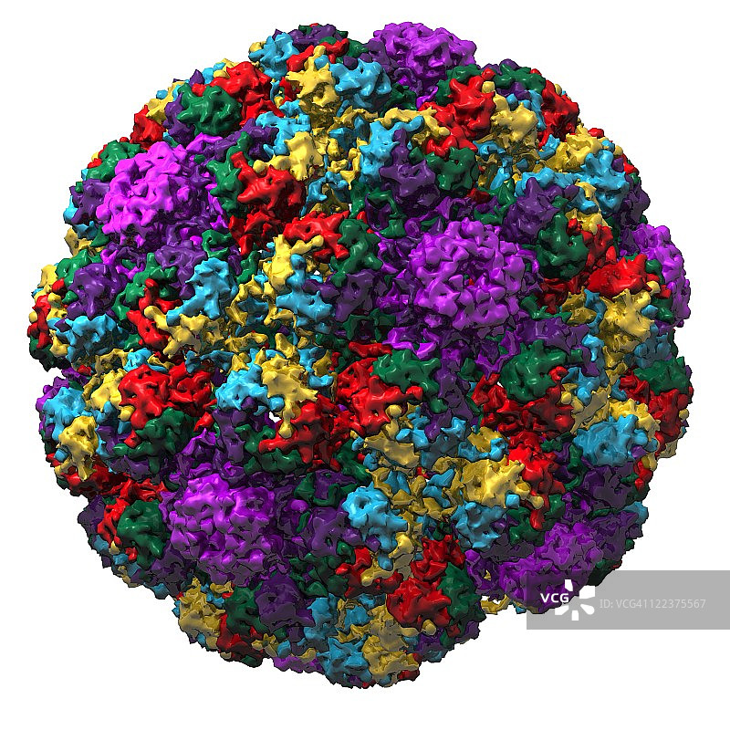 猿猴病毒40颗粒分子模型图片素材