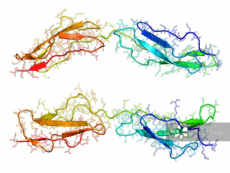 牛痘病毒补体控制蛋白图片素材