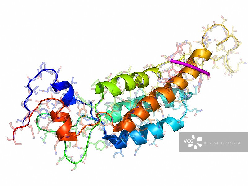 烟草花叶病毒衣壳蛋白图片素材