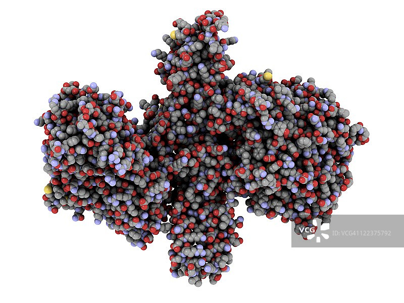 A型肉毒杆菌毒素分子模型图片素材