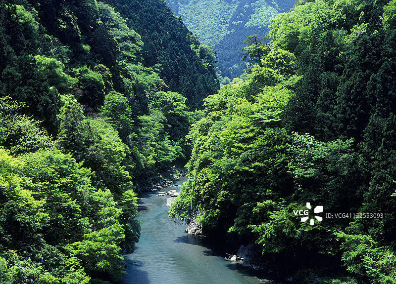 日本东京奥多摩多摩川图片素材