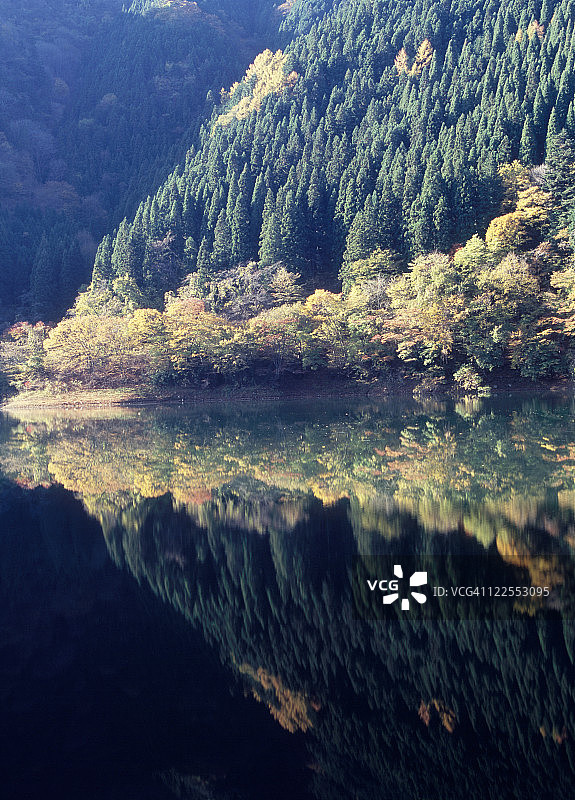 日本东京奥多摩湖图片素材