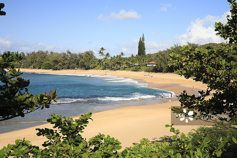 美国夏威夷可爱岛卢马海滩图片素材