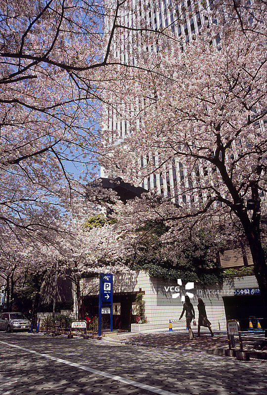 日本东京港区方舟山图片素材