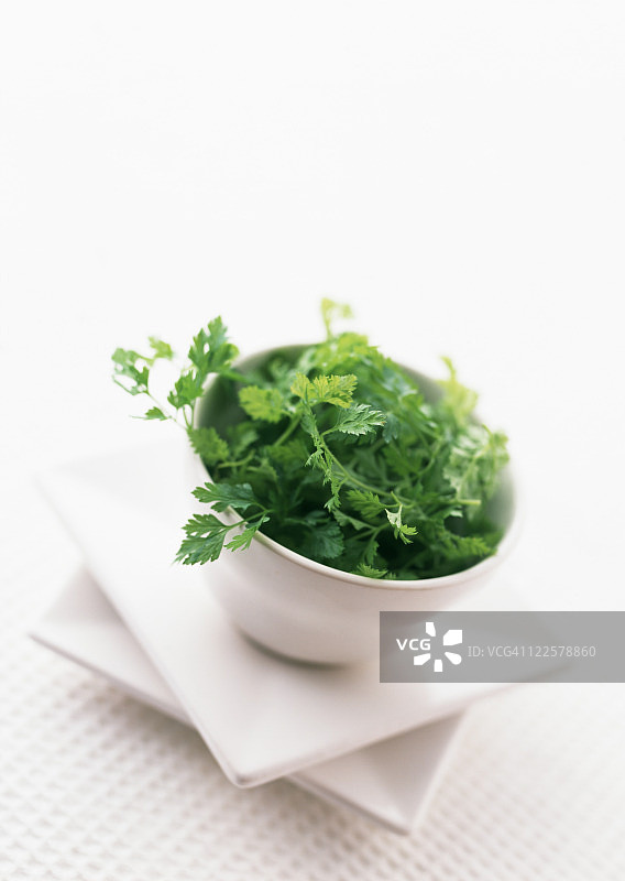 雪维菜图片素材