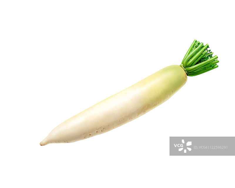 日本萝卜图片素材