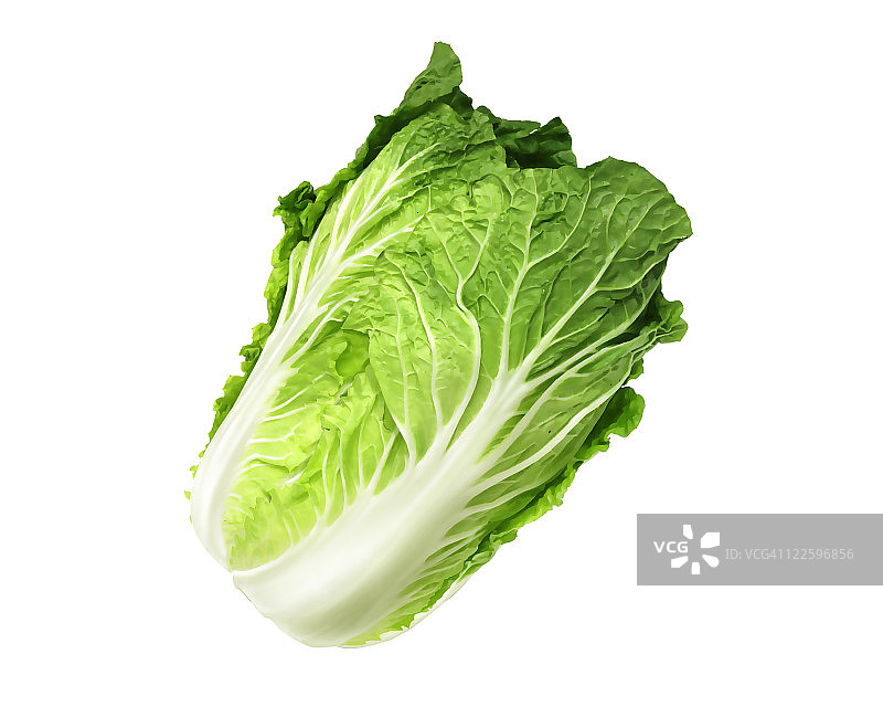 白菜图片素材