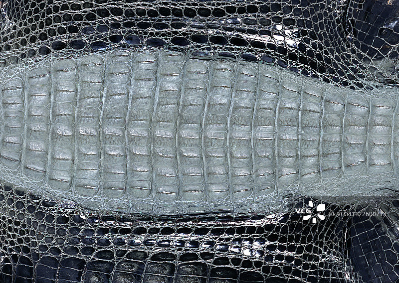 鳄鱼皮革图片素材